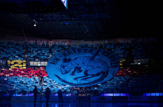 Djurgårdens supportrar
