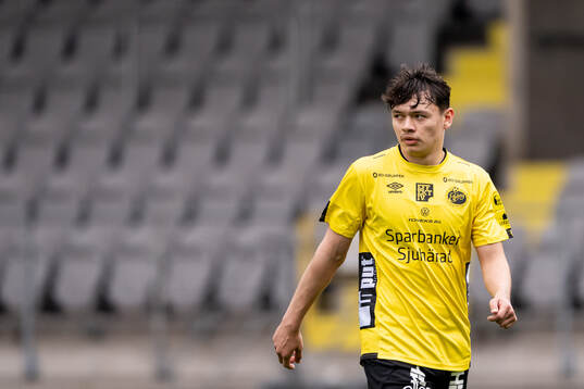 Elfsborgs Dag Hallgren