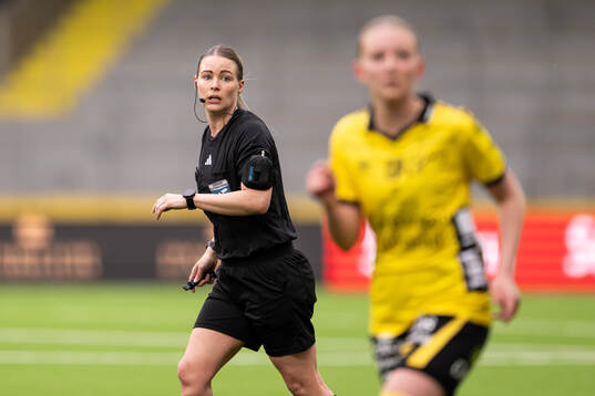 Domare Camilla Friberg