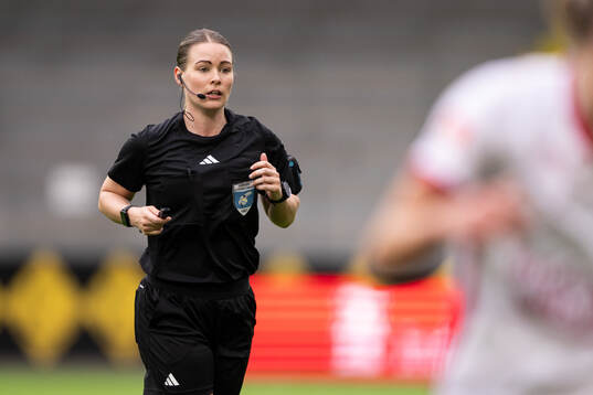 Domare Camilla Friberg