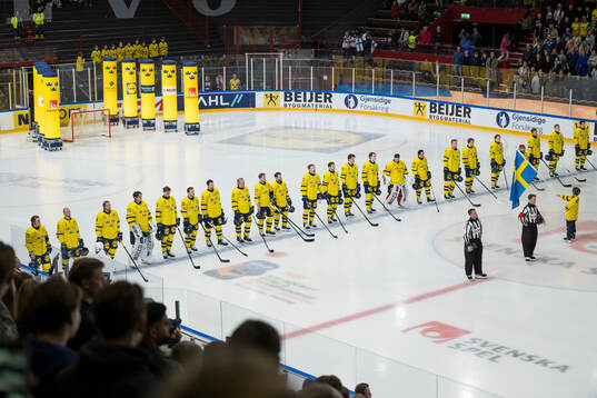 Players of Sweden