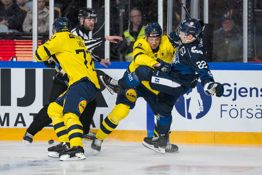 Gabriel Carlsson of Sweden and Teemu Engberg of Finland