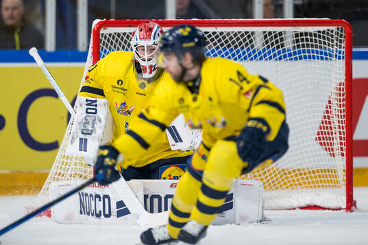 Goalkeeper Tim Juel of Sweden lets in 0-1