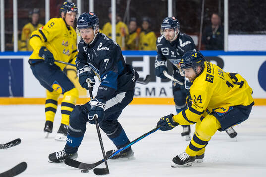 Valtteri Pulli of Finland and Oskar Lang of Sweden