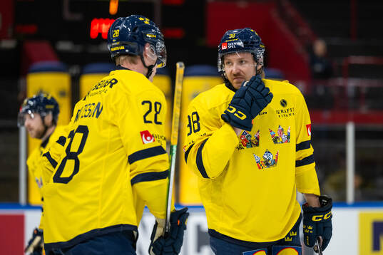 Anton Bengtsson and Linus Sandin of Sweden
