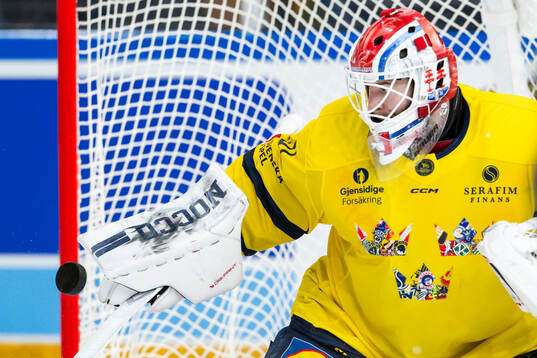 Goalkeeper Tim Juel of Sweden