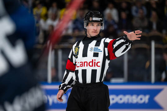 Referee Alexander Österberg