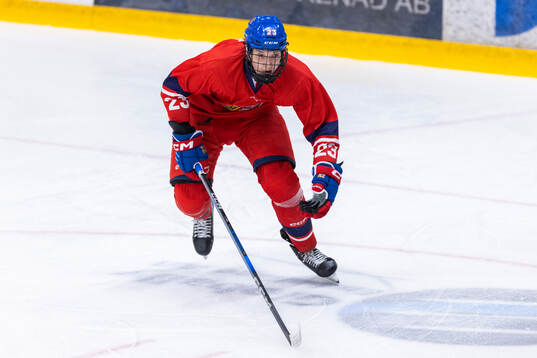 Maximilian Mares of Czech Republic