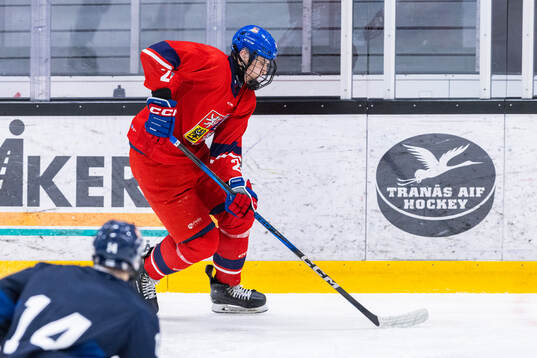 Maximilian Mares of Czech Republic