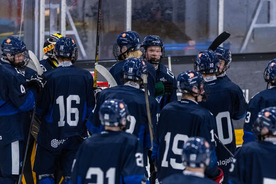 Players of Finland celebrates