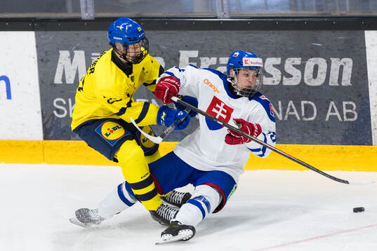 Oliver Sundberg of Sweden and Marek Klacansky of Slovakia