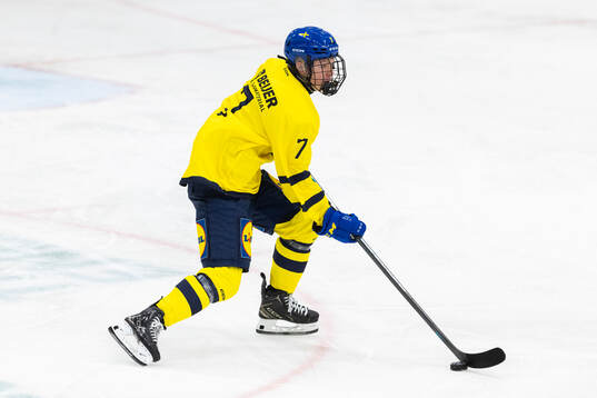 Douglas Johansson of Sweden