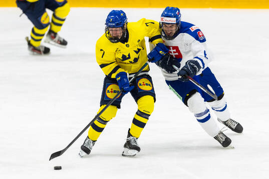 Douglas Johansson of Sweden and Patrik Siska of Slovakia