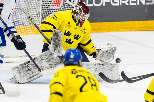 Goalkeeper Arvid Byström of Sweden