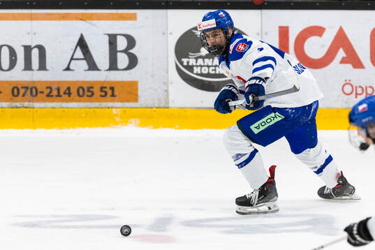 Christopher Tayler Podkonicky of Slovakia