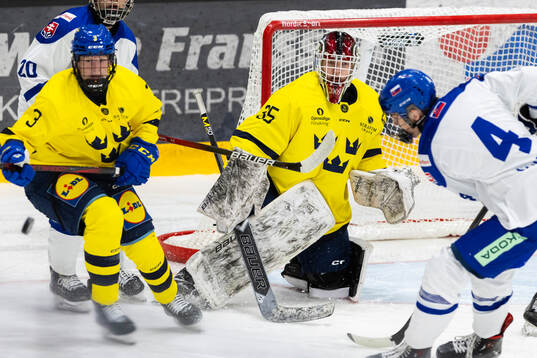 Goalkeeper Arvid Byström of Sweden