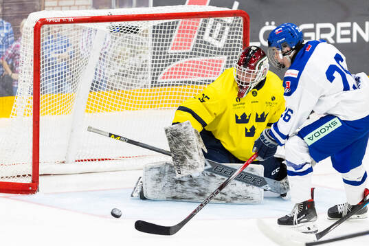 Goalkeeper Arvid Byströmof Sweden and Patrik Rychlikof