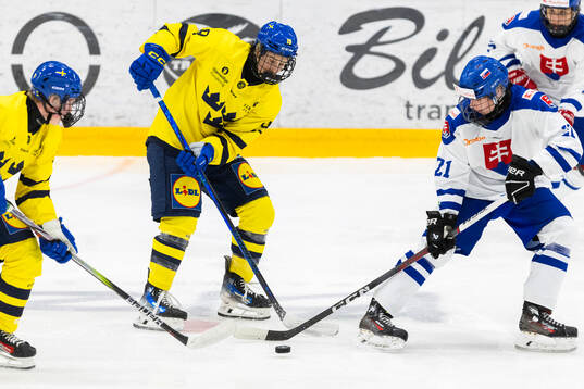 Loui Karlsson of Sweden and Filip Skripec of Slovakia