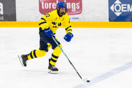 Alfred Nordén of Sweden