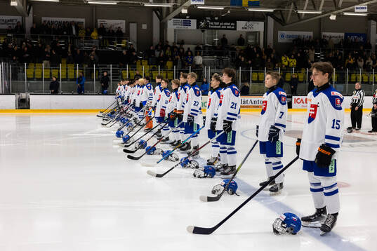 Players of Slovakia