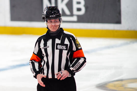 Domare Daniel Eriksson