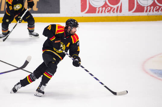 Brynäs Anton Rödin