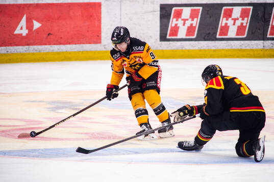 Luleås Brian O'neil och Brynäs Jakob Silfverberg