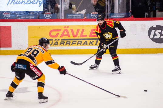 Brynäs Tyler Vesel