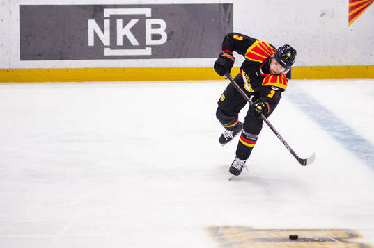 Brynäs Christian Djoos