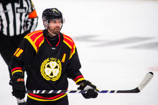 Brynäs Anton Rödin
