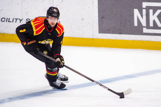 Brynäs Christian Djoos