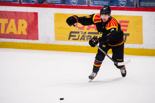 Brynäs Theo Lindstein