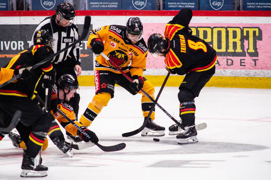 Luleås Jesper Sellgren och Brynäs Bobby Trivigno