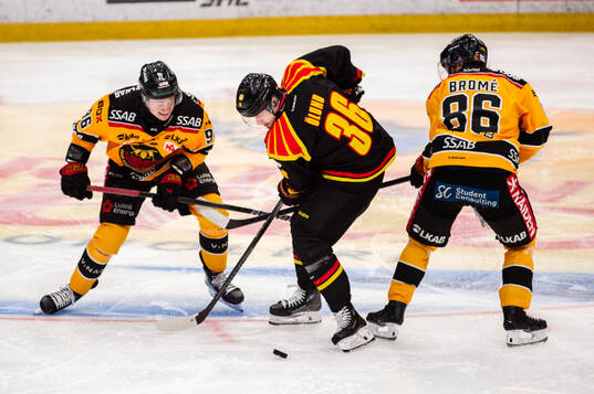 Luleås Pontus Andreasson och Mathias Bromé mot Brynäs