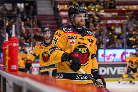 Luleås Brendan Shinnimin och