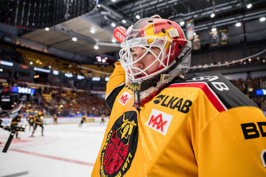 Luleås målvakt Matteus Ward