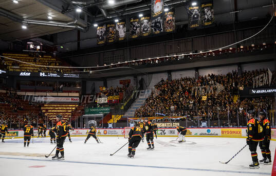 Brynäs spelare