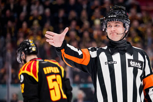 Domare Daniel Eriksson