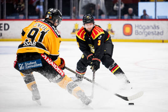 Brynäs Christian Djoos