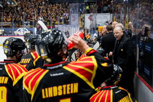Brynäs tränare Niklas Gällstedt i en time-out