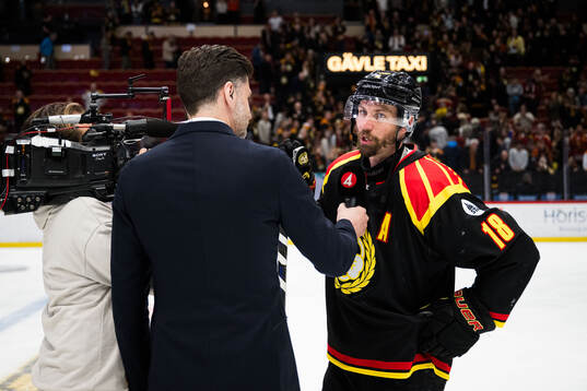 Brynäs Anton Rödin