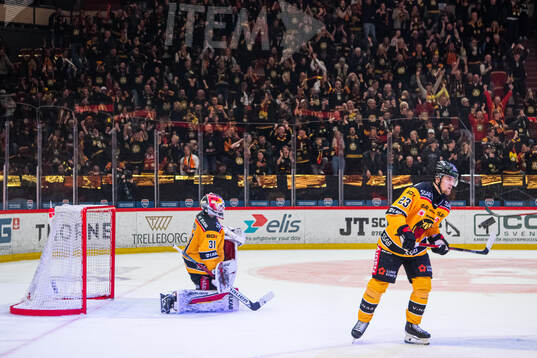Luleås målvakt Matteus Ward deppar