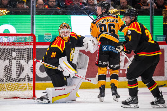 Brynäs målvakt Erik Källgren