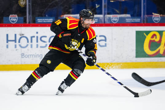 Brynäs Anton Rödin