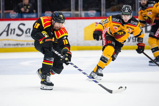 Brynäs Anton Rödin