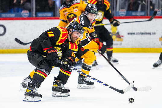 Brynäs Anton Rödin och Luleås Ludvig Jansson