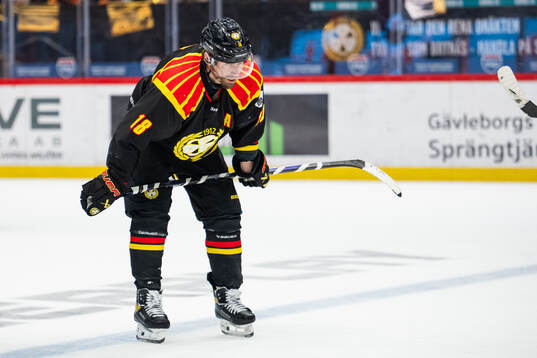 Brynäs Anton Rödin