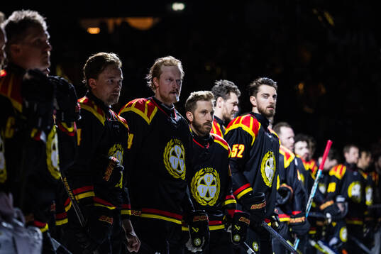 Brynäs spelare