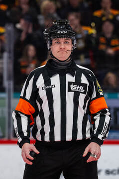 Domare Daniel Eriksson