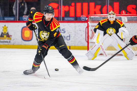 Brynäs Theo Lindstein